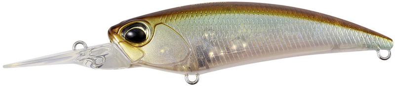GHOST MINNOW