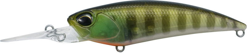 GHOST GILL