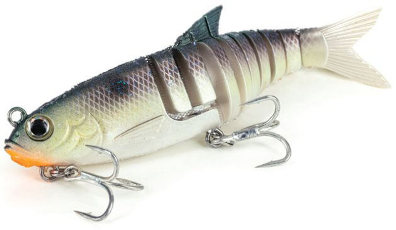 BLUE BACK HERRING