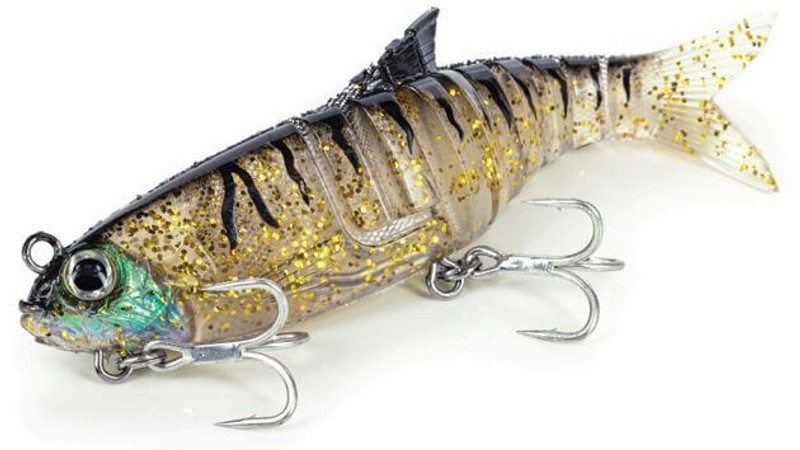 GOLD BLACK TIGER