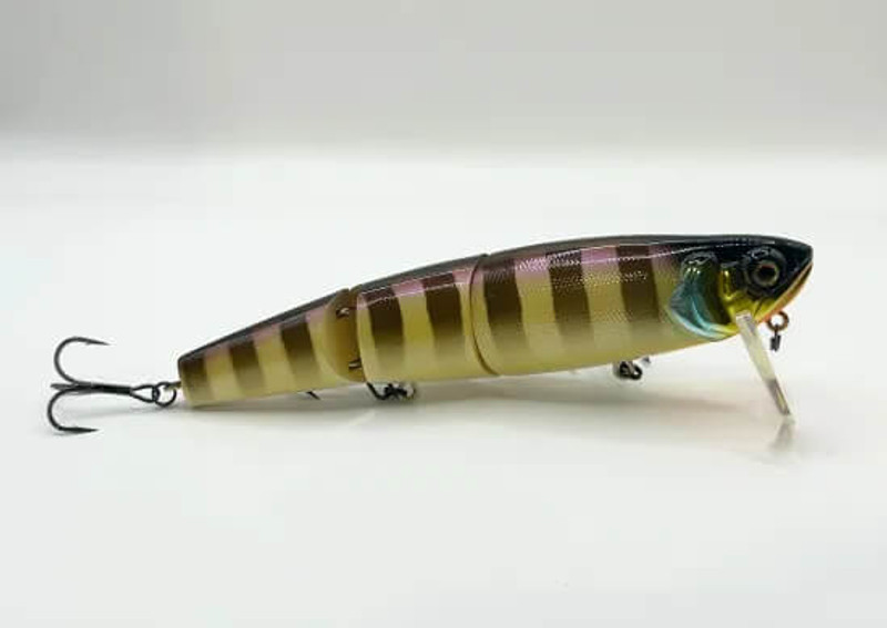 BLACK HEAD GILL