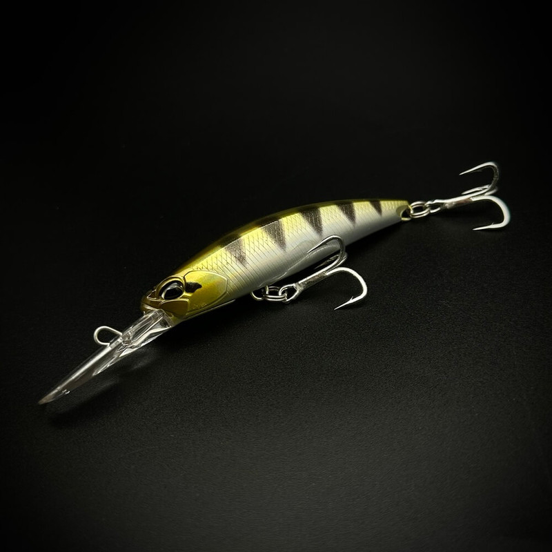 ARCHER FISH