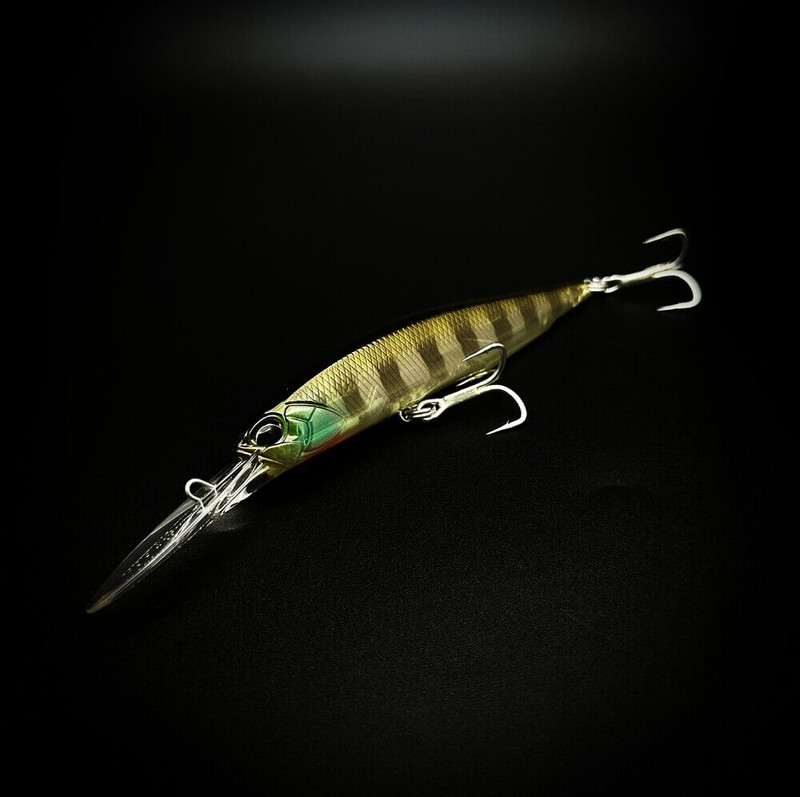 GHOST GILL