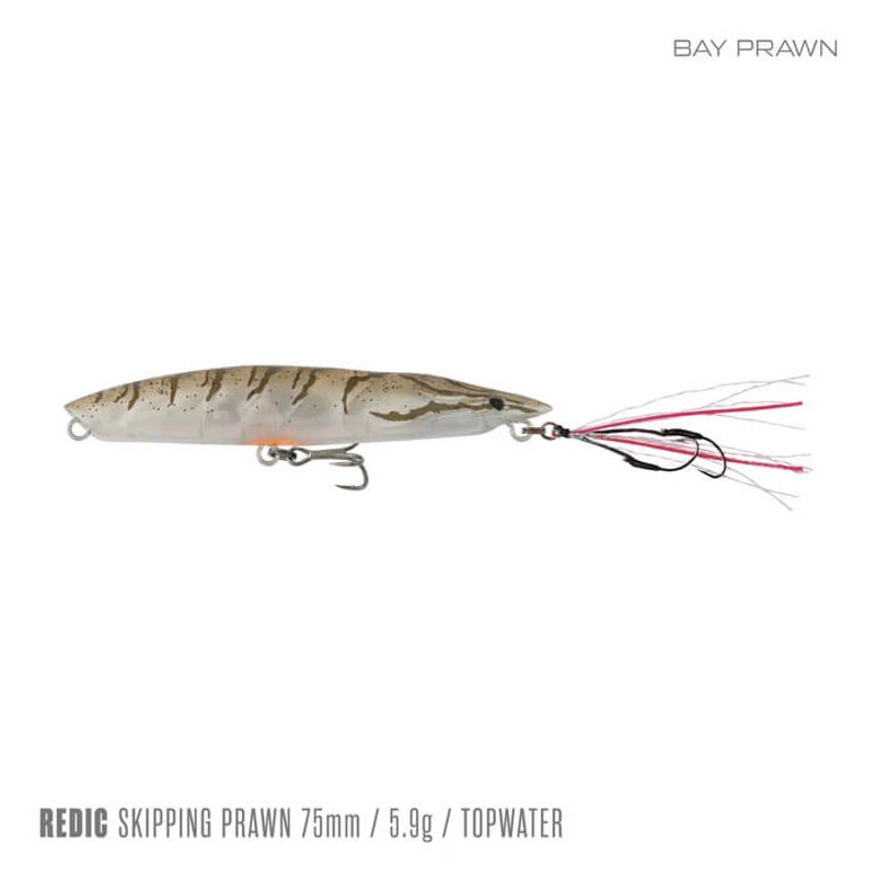 BAY PRAWN