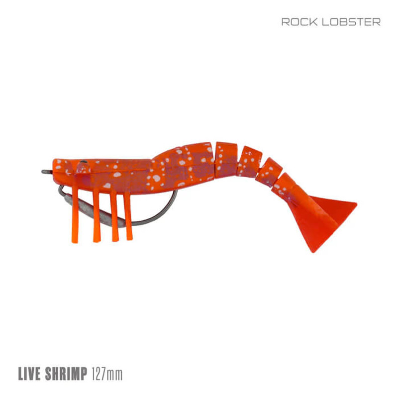 ROCK LOBSTER