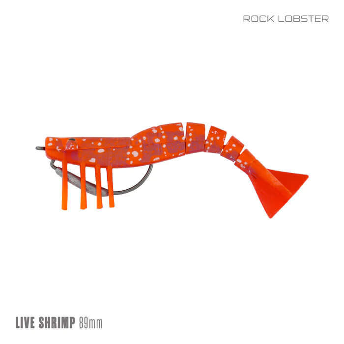 ROCK LOBSTER