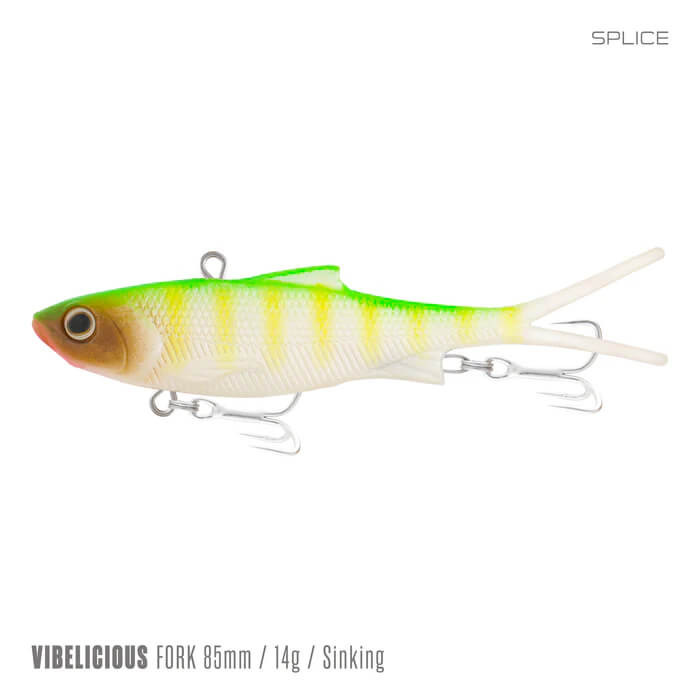 SPLICE