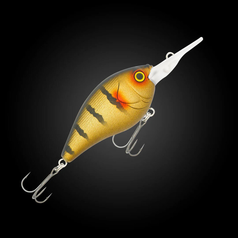 GOLDEN GUDGEON