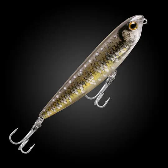 SPOTTED HERRING