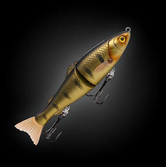 GOLDEN GUDGEON