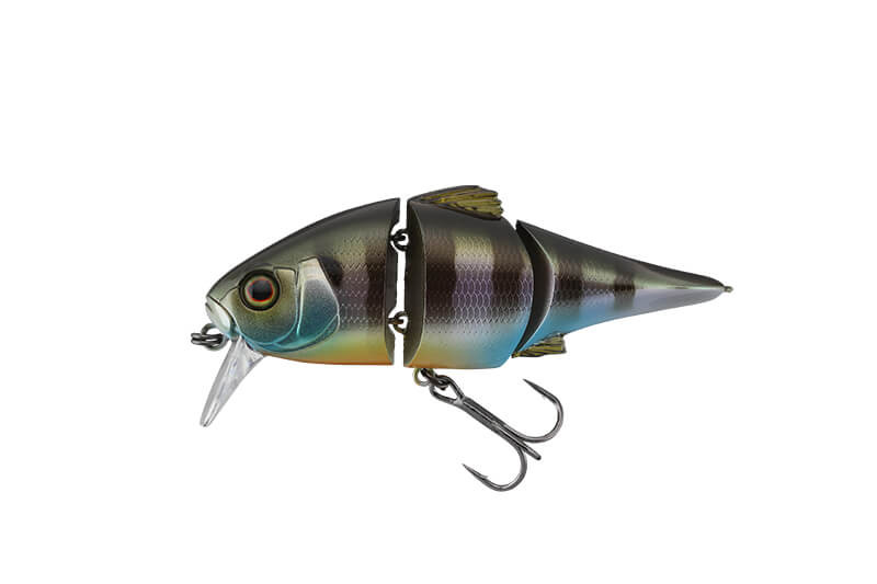 NATURAL GILL