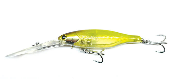 GHOST MINNOW