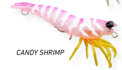 CANDY SHRIMP