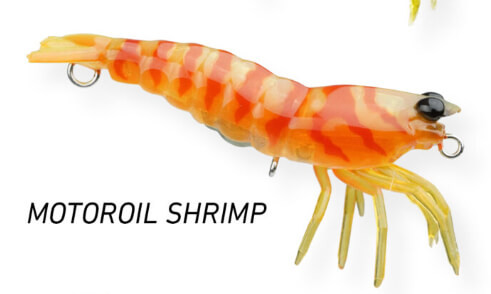 MOTOROIL SHRIMP