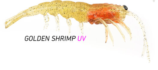 GOLDEN SHRIMP