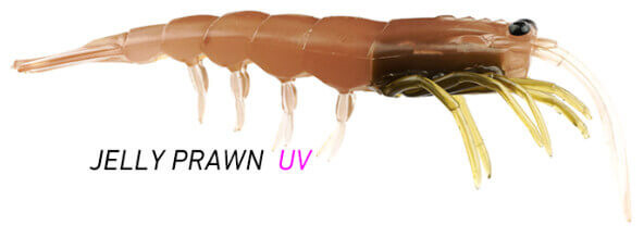 JELLY PRAWN