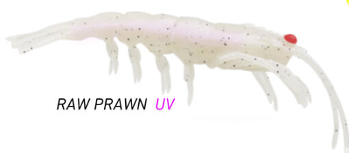 RAW PRAWN