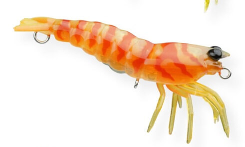 MOTOROIL SHRIMP