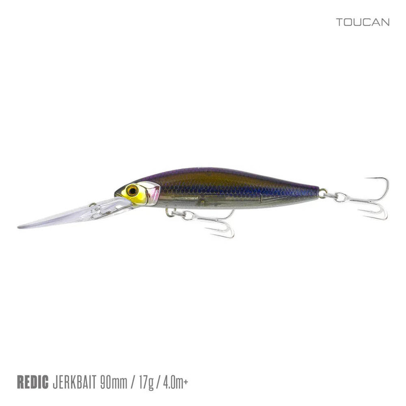 TOUCAN