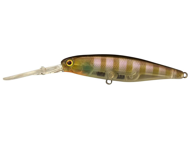 GHOST GILL