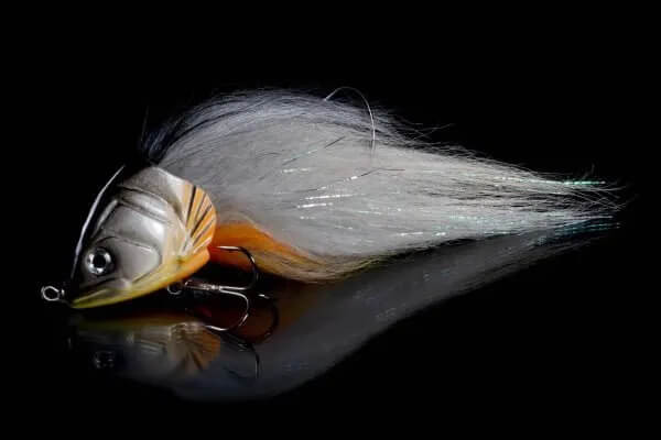SILVER ROACH