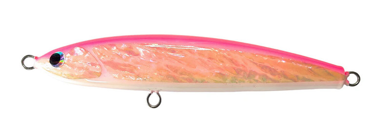 PINK BACK ABALONE
