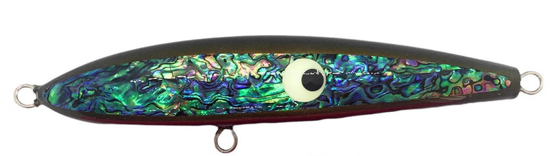 ABALONE SQUID