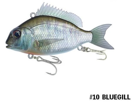 #10 BLUEGILL