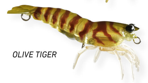 OLIVE TIGER
