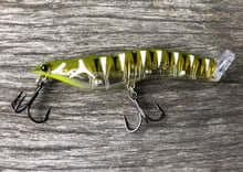 LIME TIGER