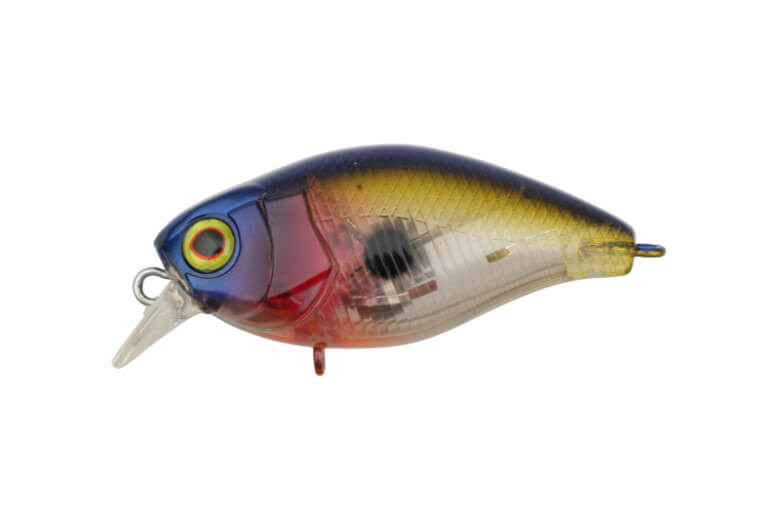 GHOST SUNFISH 