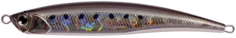 SARDINE NOIR