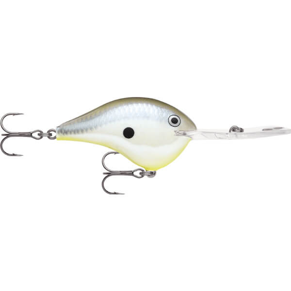DISCO SHAD