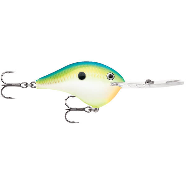 CITRUS SHAD