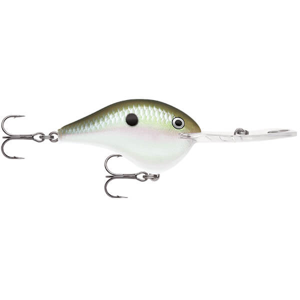 GREEN GIZZARD SHAD