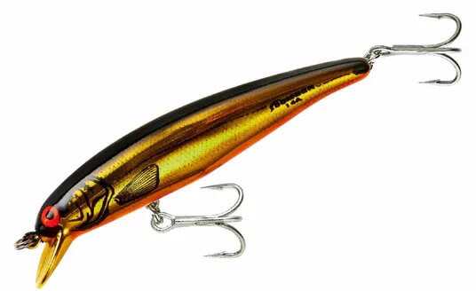 GOLD CHROME BLACK BACK ORANGE BELLY