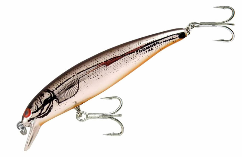 CHROME BLACK BACK ORANGE BELLY