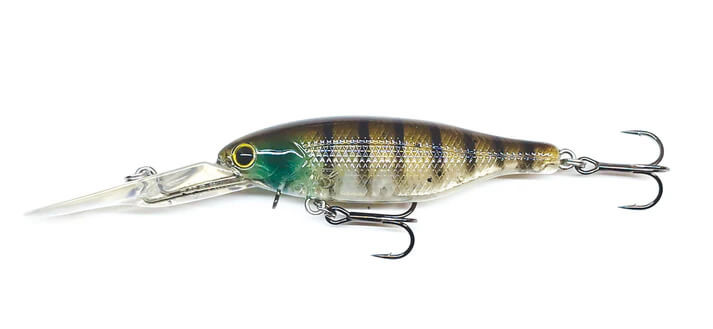 BLUE GILL