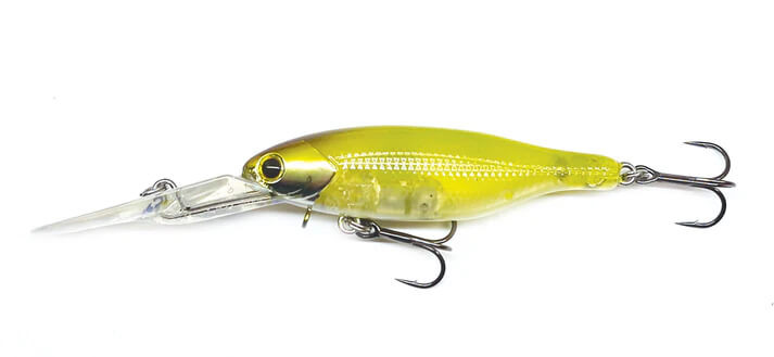 GHOST MINNOW