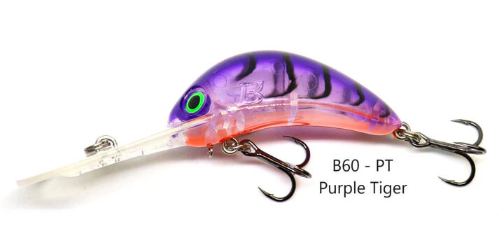 PURPLE TIGER