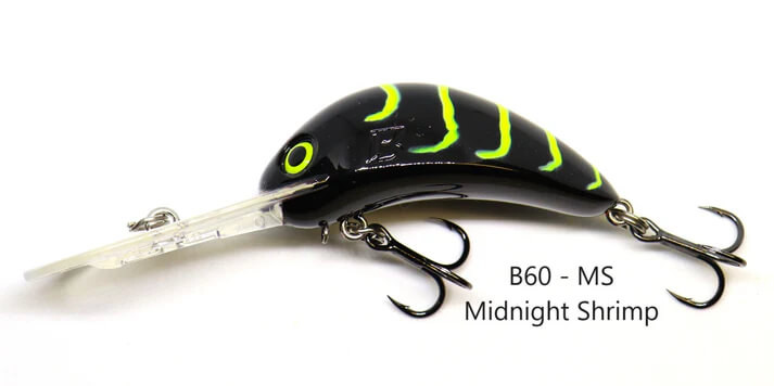 MIDNIGHT SHRIMP