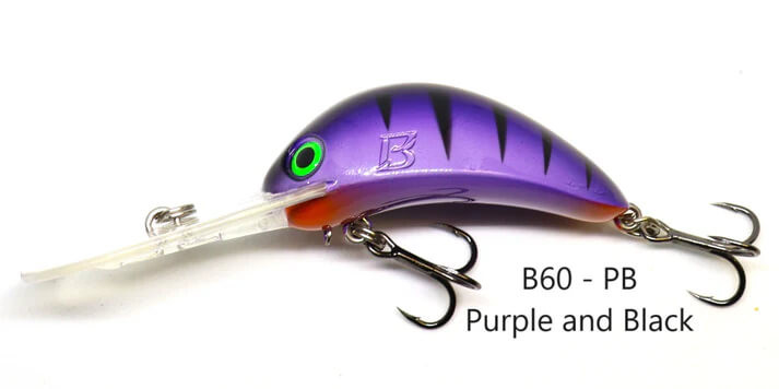 PURPLE AND BLACK