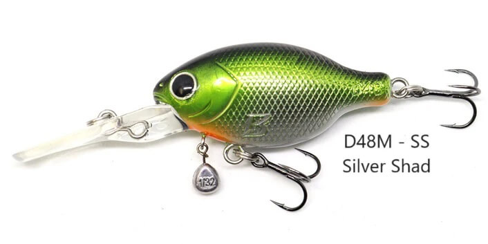 SILVER SHAD