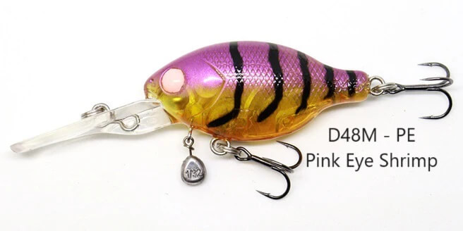 PINK EYE SHRIMP