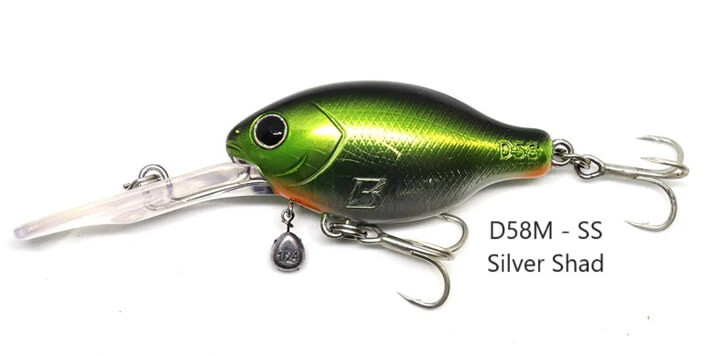 SILVER SHAD