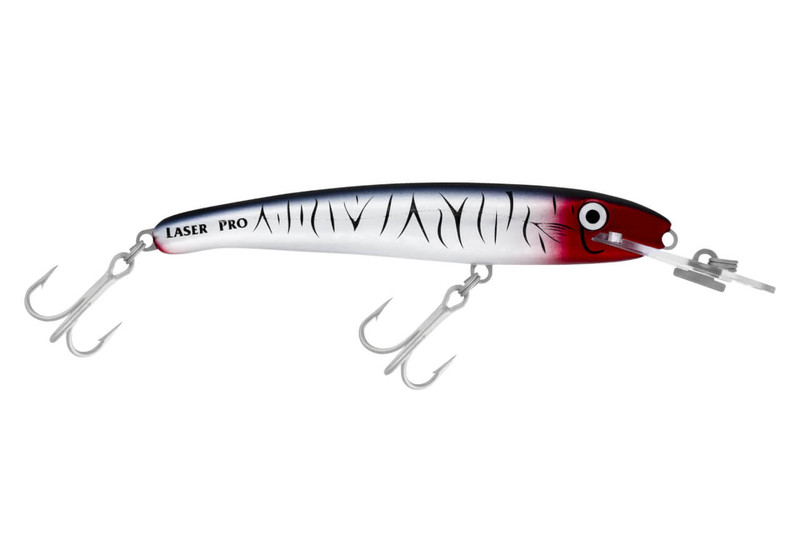 R49 CHROME TIGER