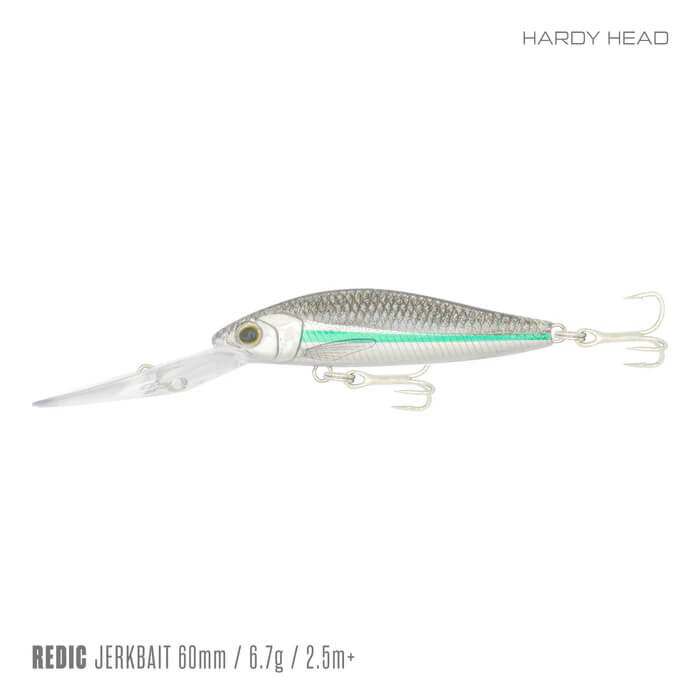 HARDY HEAD