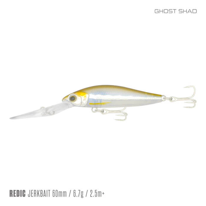 GHOST SHAD