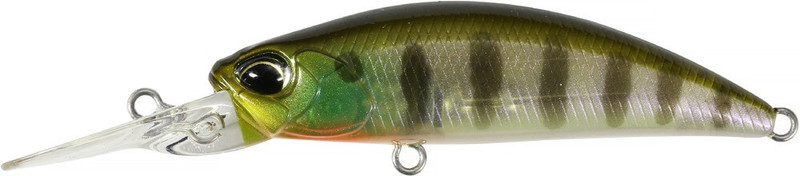 GHOST GILL