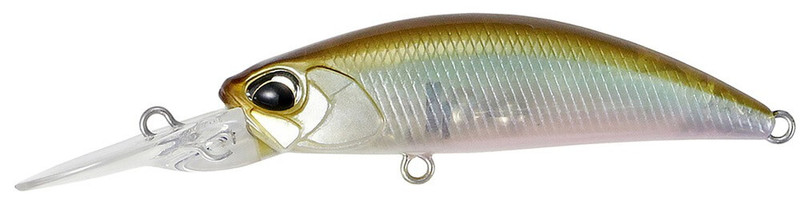 GHOST MINNOW